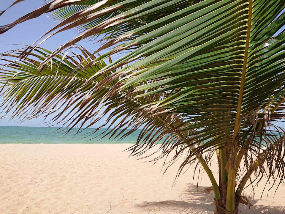 Strand Hotel Riu Baobab - All Inclusive