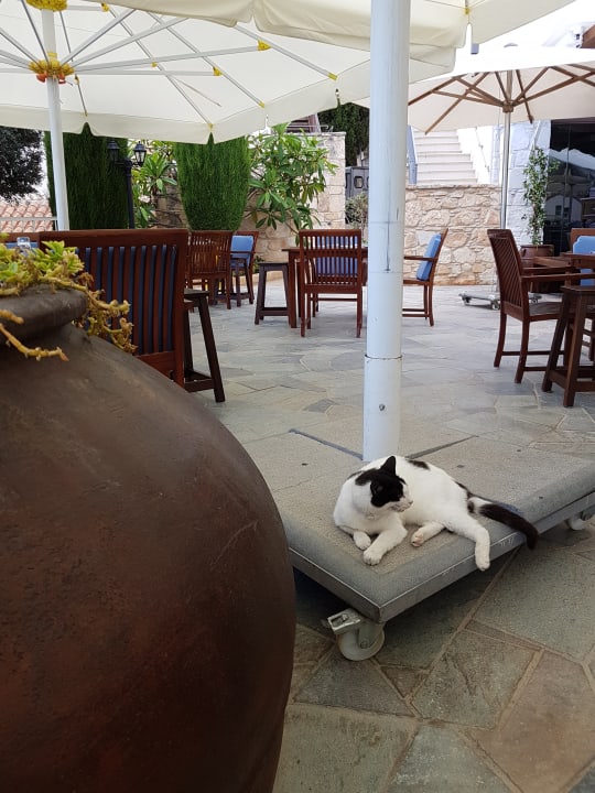 Gastro Columbia Beach Resort