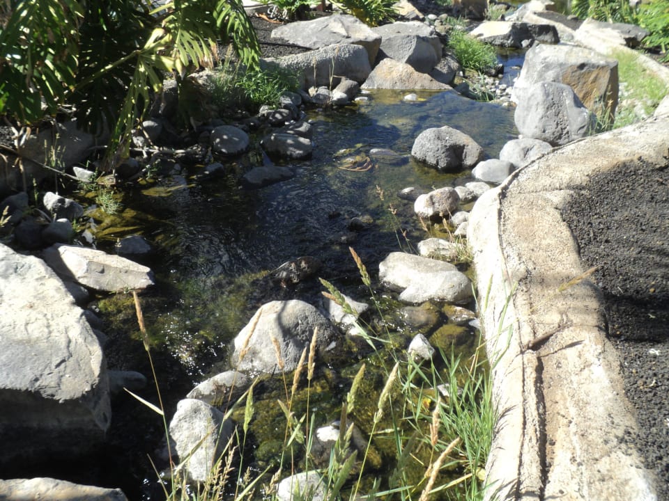 Alles schön La Palma Princess