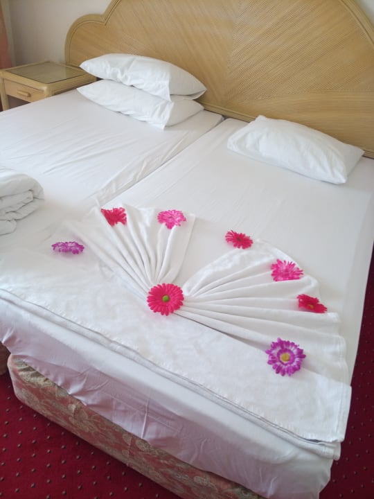 Zimmer Aska Hotel Just in Beach