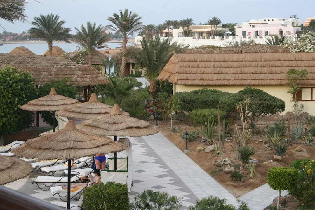 Кусочек территории Panorama Bungalows Resort El Gouna