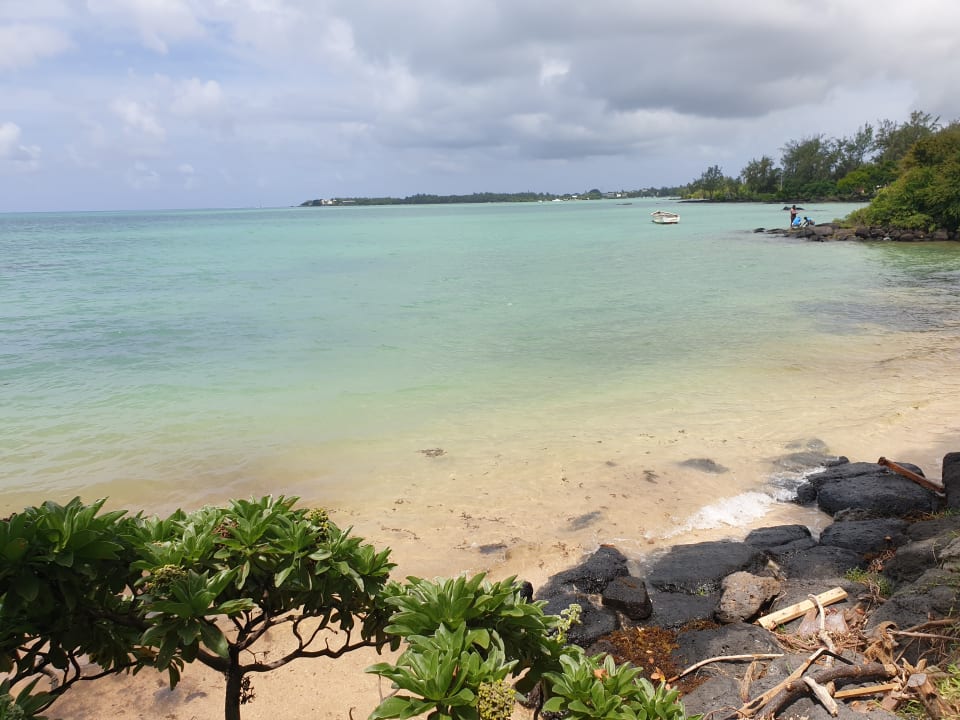 Ausblick Lagoon Attitude - Adults only