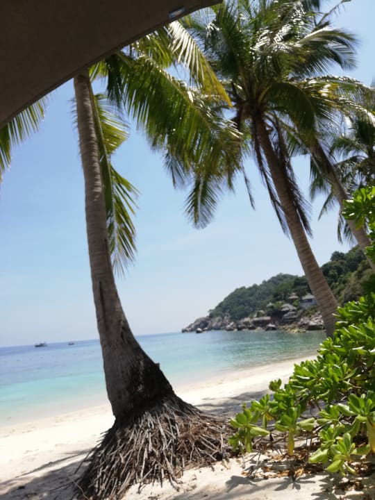 Ausblick The Haad Tien Beach Resort