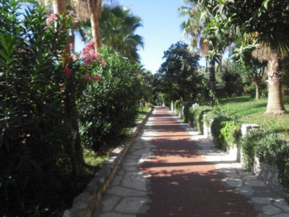 Gartenweg zum Meer Hotel Defne Garden