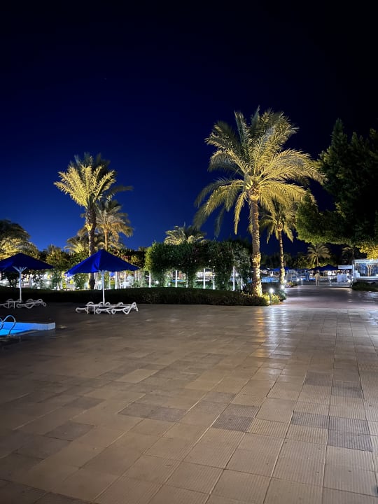 Außenansicht Desert Rose