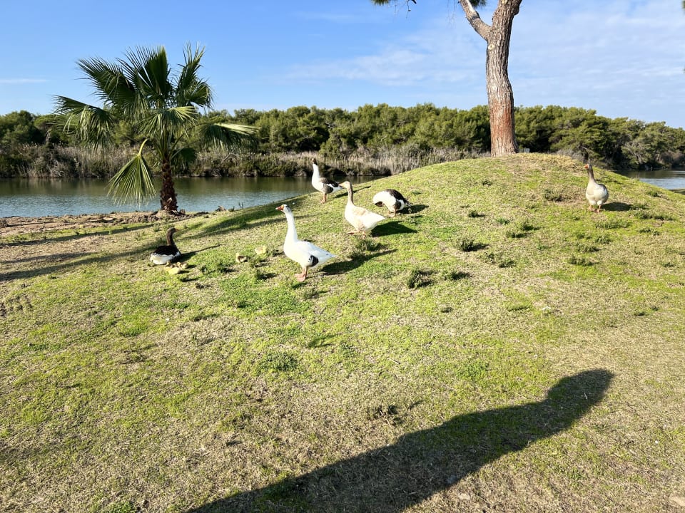 Sonstiges Titanic Deluxe Golf Belek