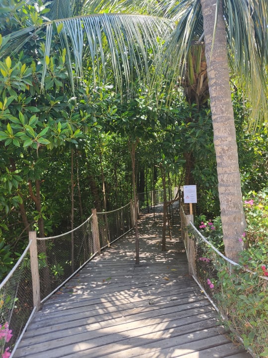 Gartenanlage Reef & Beach Resort