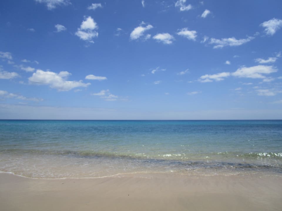 Strand Fuerteventura Princess
