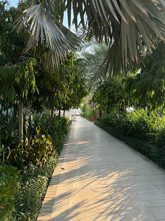 Gartenanlage Waldorf Astoria Dubai Palm Jumeirah