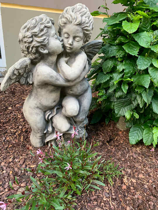 Außenansicht Spirit & SPA Hotel Birkenhof am Elfenhain