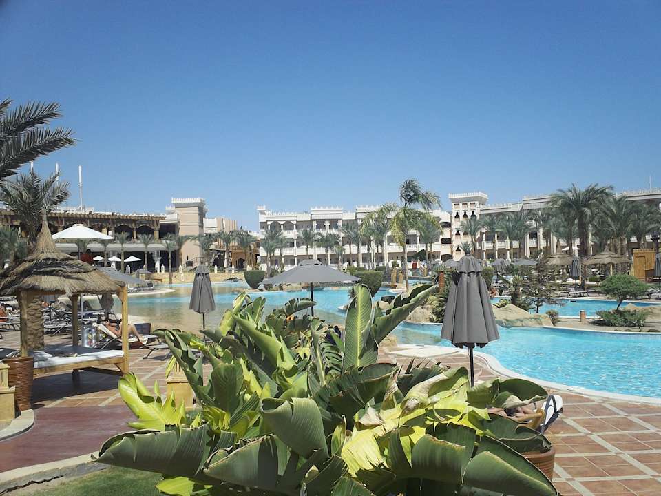 Pool Beach Albatros Resort