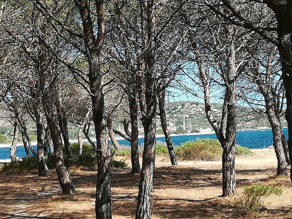 Strand Janna e Sole Resort