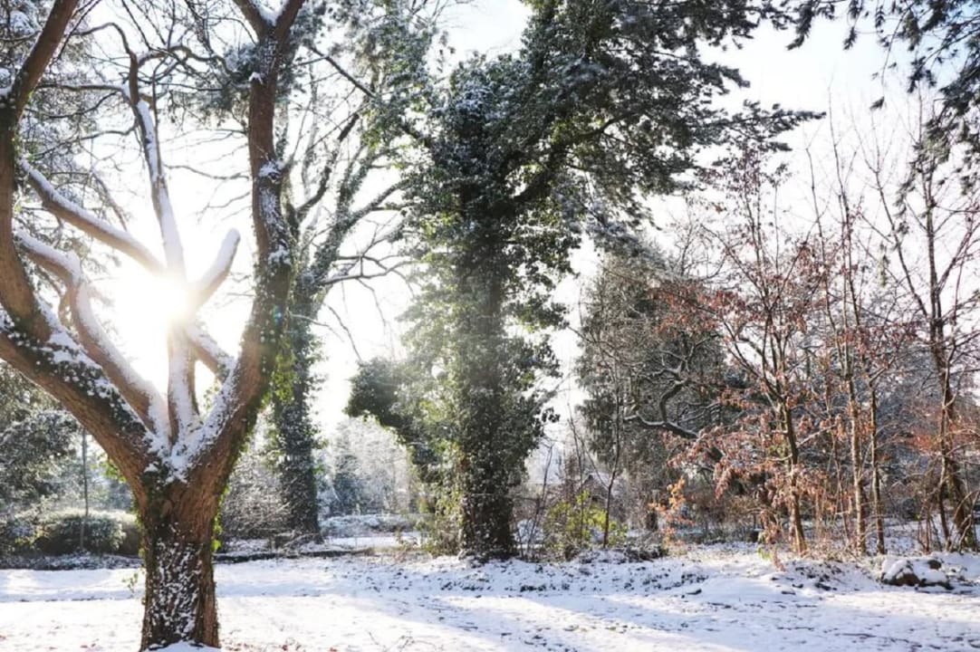 Gartenanlage Gästehaus Magnolia