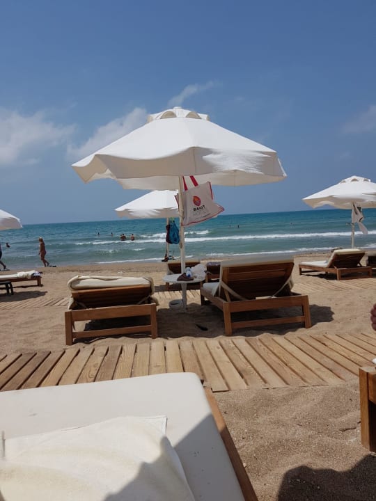 Strand Acanthus Cennet Barut Collection