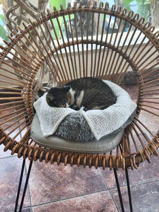 Lobby Hotel Clube Porto Mos