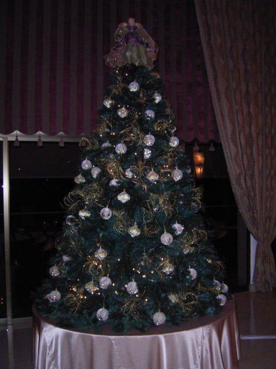 Weihnachtsbaum Alexander The Great Beach Hotel