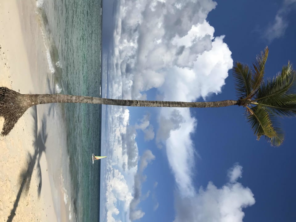 Strand Hotel Riu Republica - Adults only