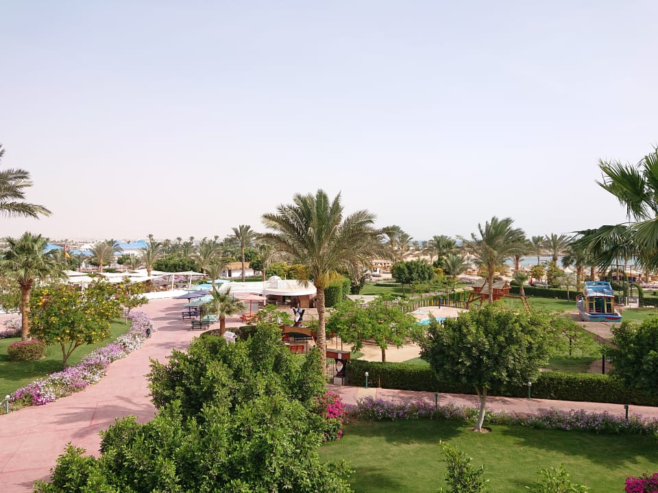 Ausblick Desert Rose