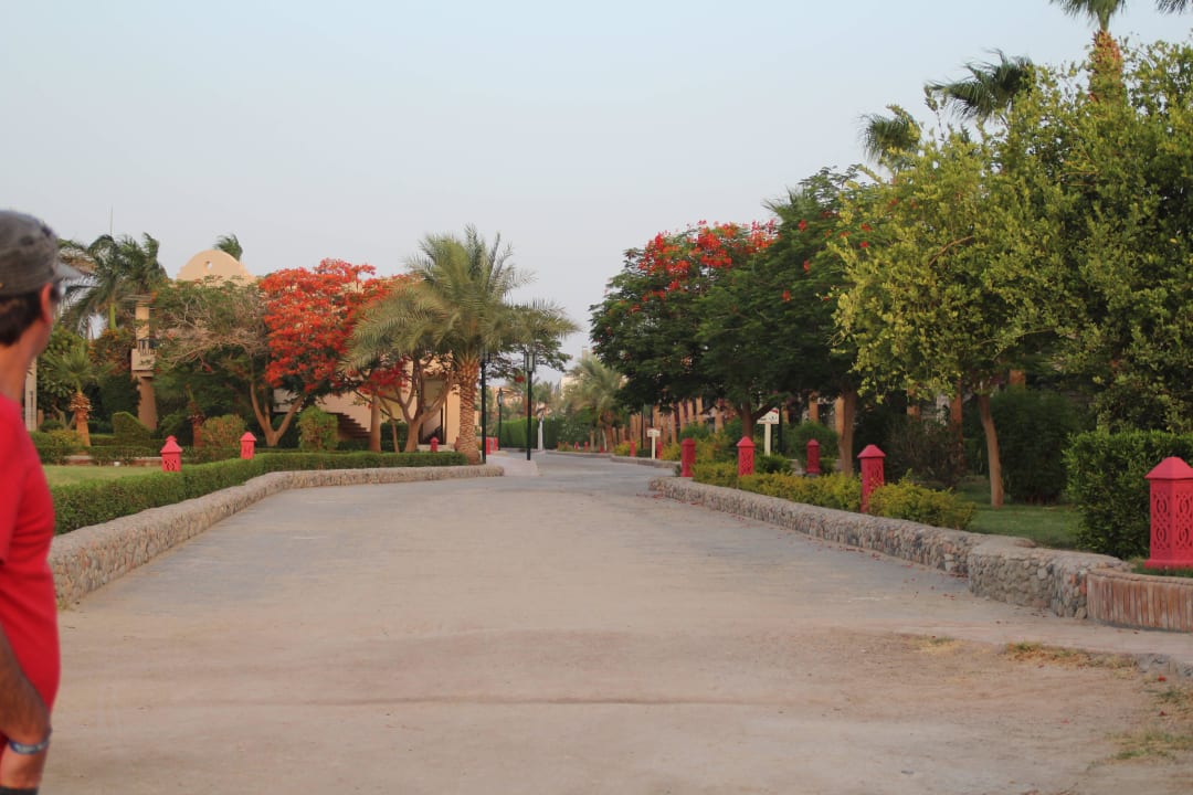 Tolle Wege Ali Baba Palace Hotel