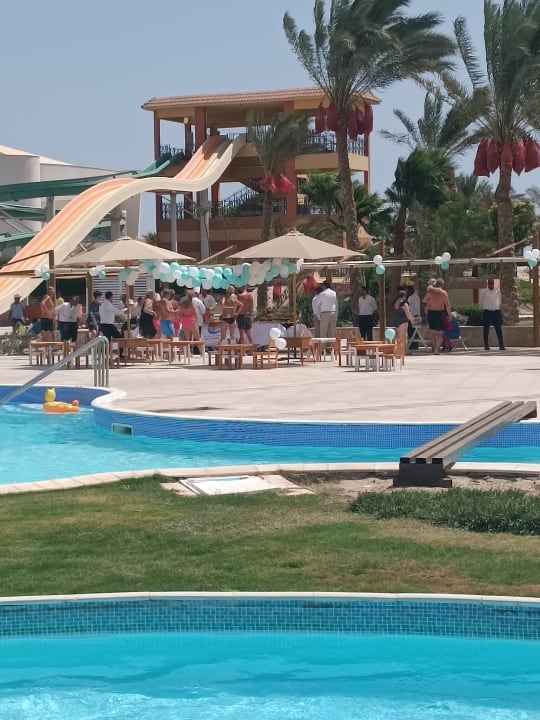 Pool Malikia Resort Abu Dabbab