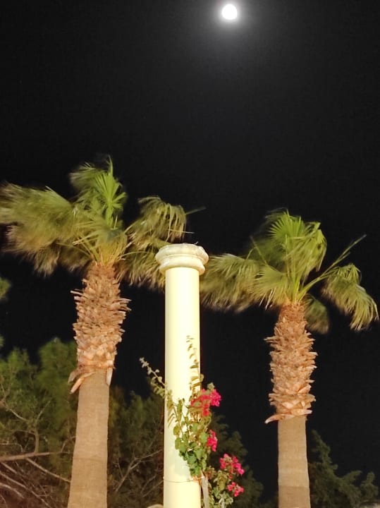 Sonstiges Hotel Kalithea Horizon Royal