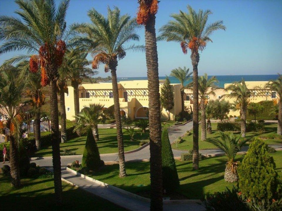 Aussenanlage Hotel Horizon Beach Resort