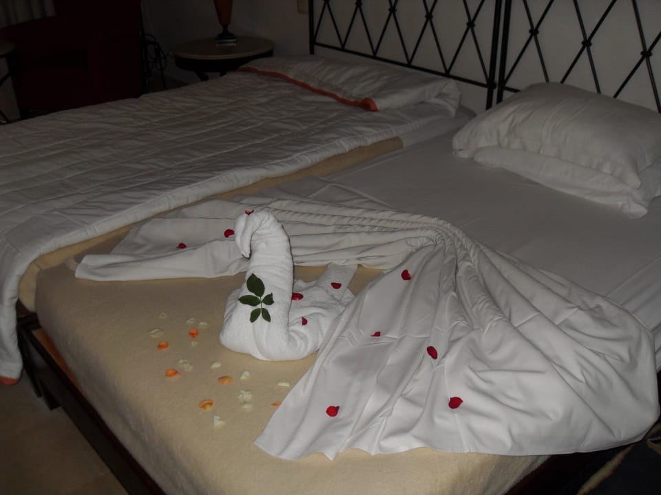 My swan Medina Solaria & Thalasso