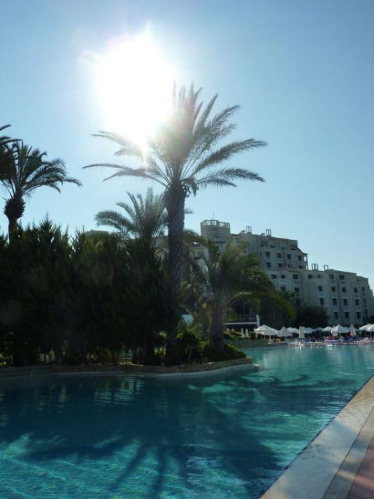 Sentido PALOMA Perissia