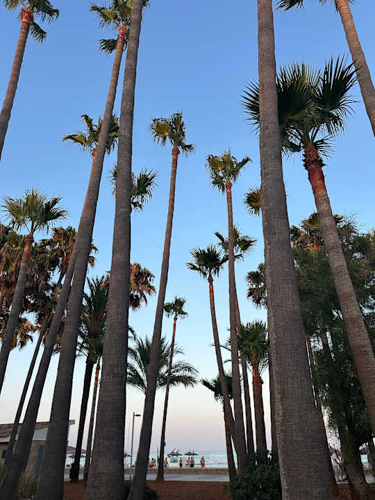 Gartenanlage Hipotels Mediterraneo Club