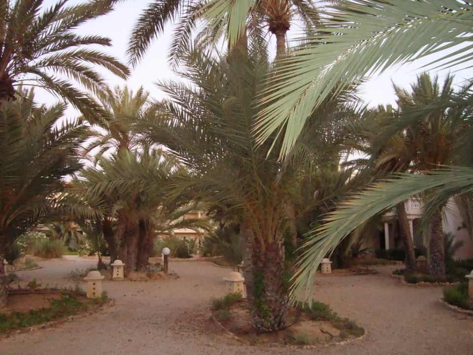 Seitenblick vom Bungalowzimmer Zita Beach Resort
