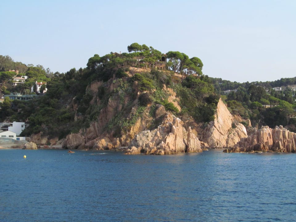 Дикая красота! Hotel Blanes