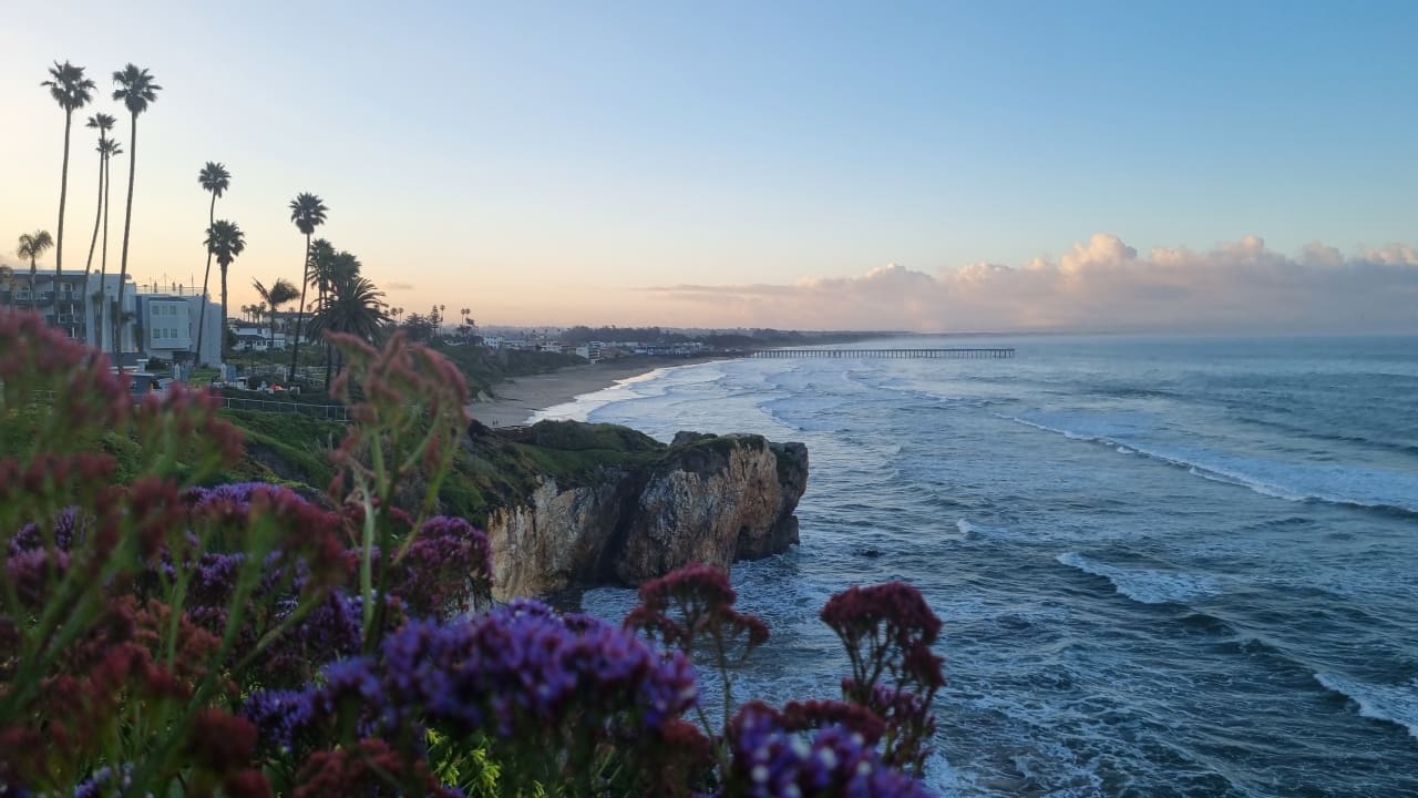 Ausblick Hotel Cottage Inn By the Sea