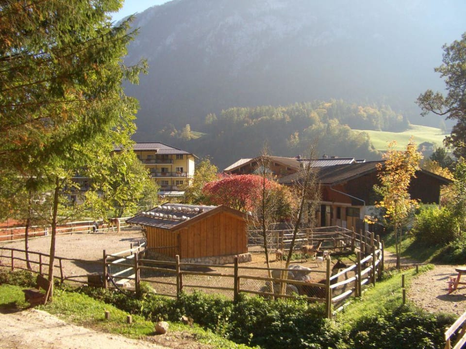 Streichelzoo und Kinderhotel im Hintergrund POST Family Resort