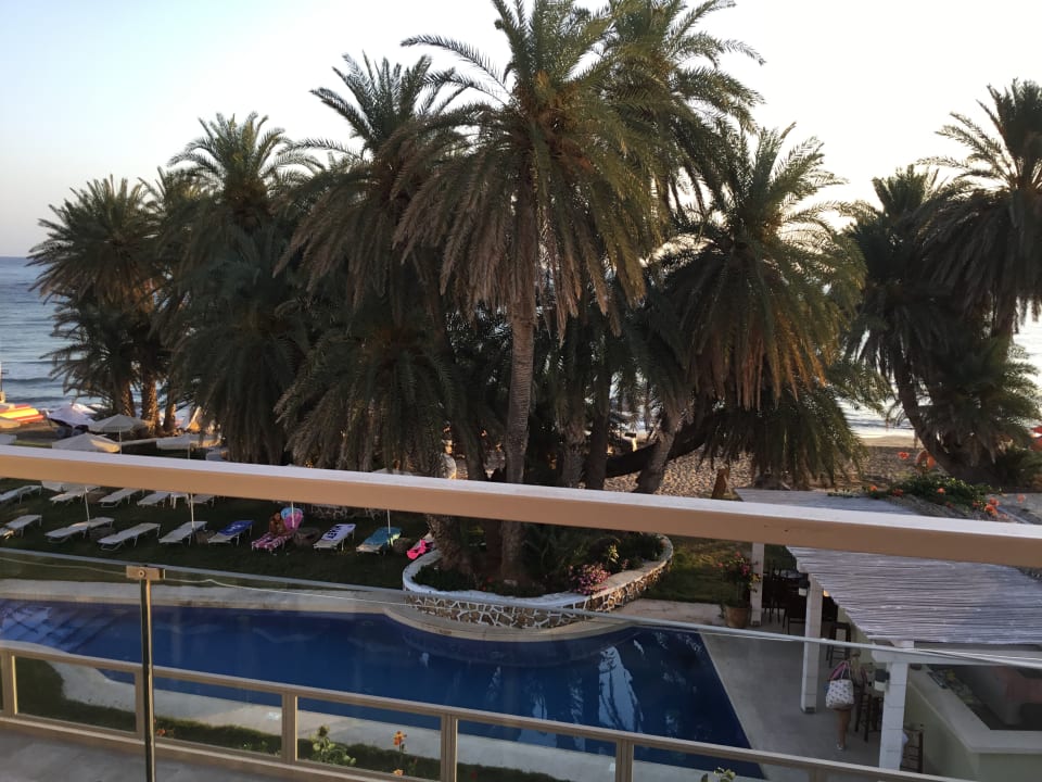Pool Zeus Hotels Palm Beach