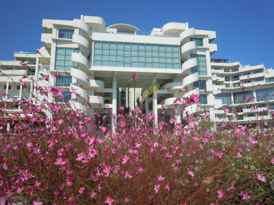 Frontansaicht meerseitig Elysium Resort & Spa Hotel
