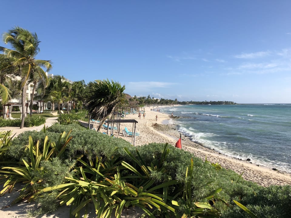 Ausblick vom Yoga-Haus  Akumal Bay Beach & Wellness Resort
