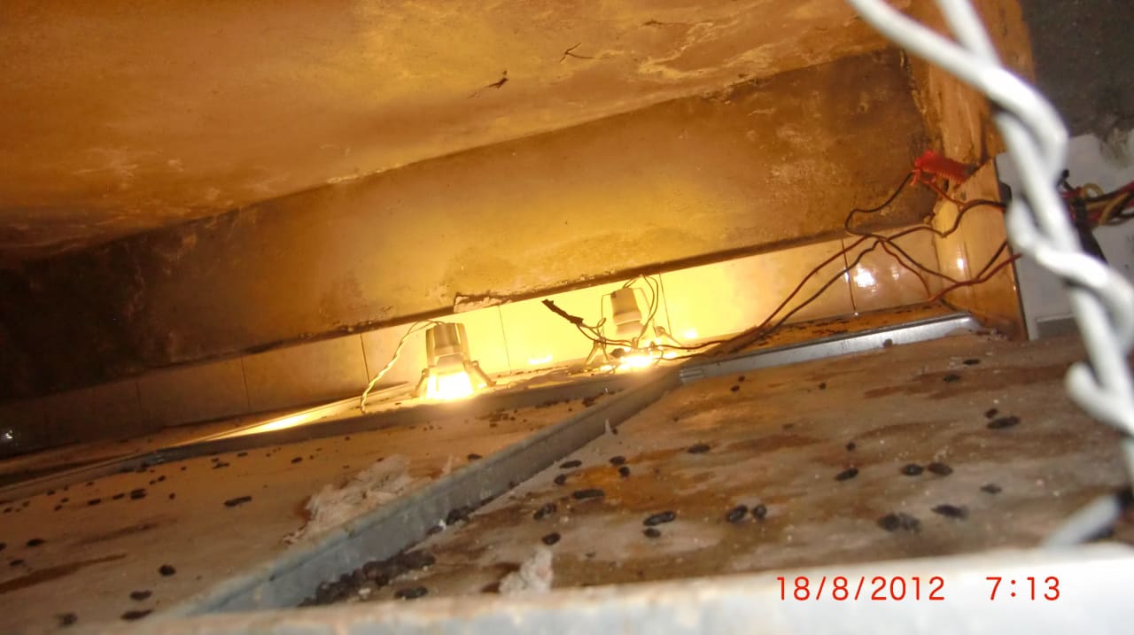 Die Zwischendecke, das Heim der Ratten Ali Baba Palace Hotel