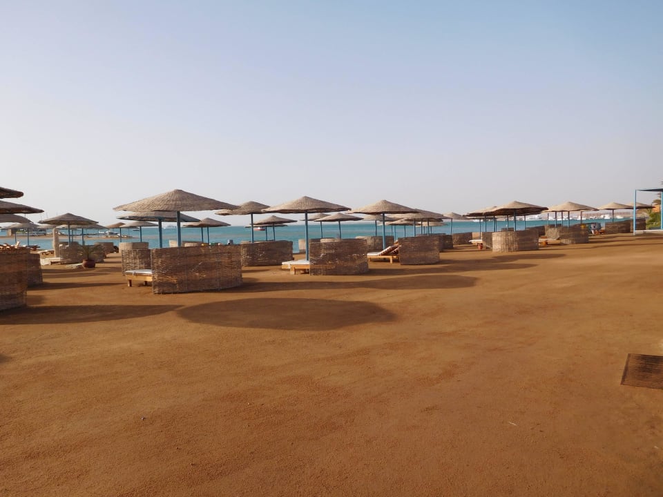 Immer freie Liegen Club Paradisio El Gouna, Red Sea