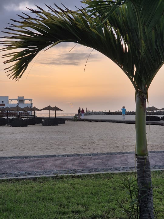 Strand Meliá Laguna Beach