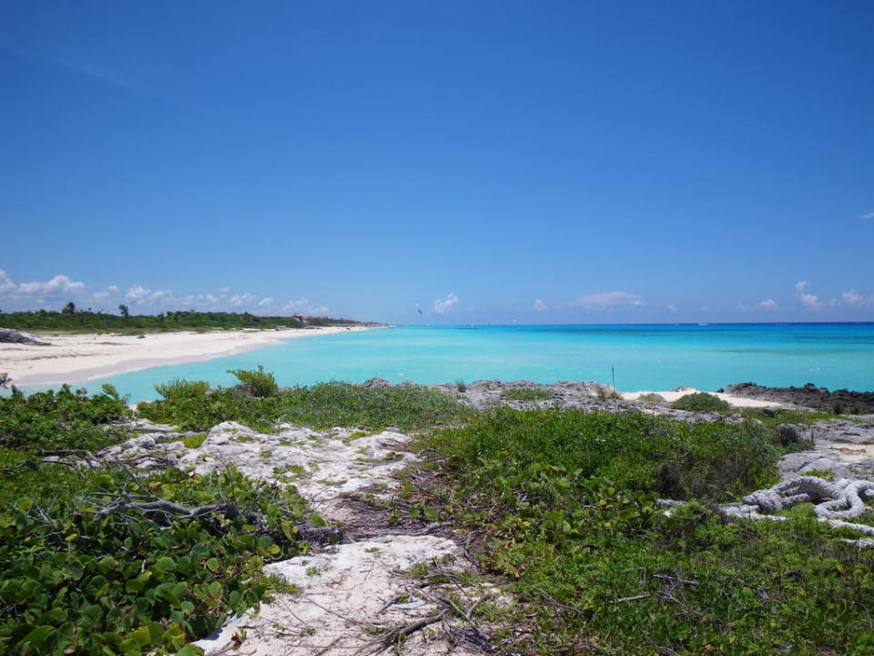 Am Ende des Strandes Hotel Riu Tequila