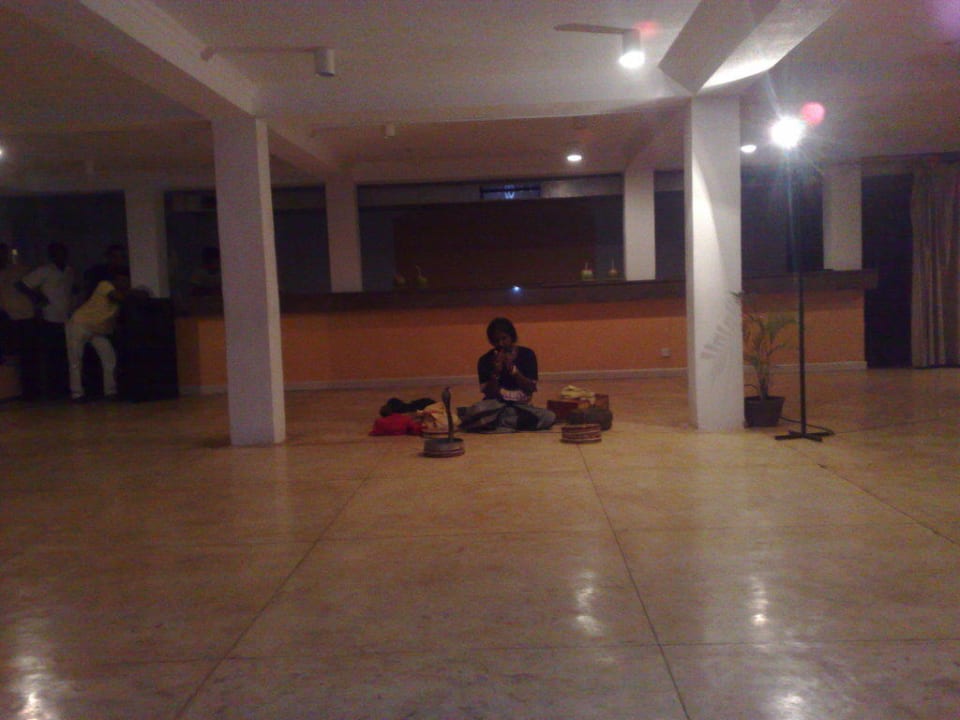 Schlangenshow EKHO Surf