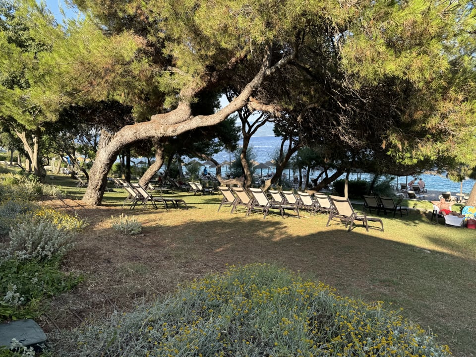 Ausblick Valamar Girandella Designed for Adults