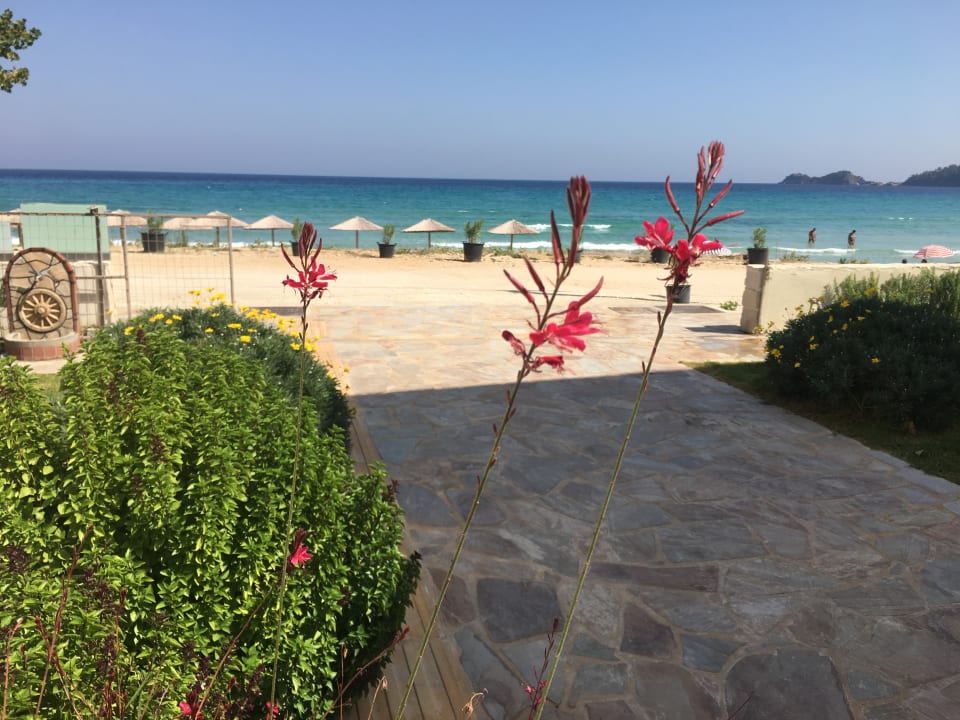 Strand Iliorama Seaside Luxury Apartments