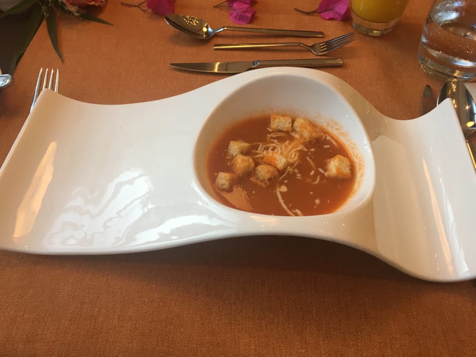 Gastro Arum Barut Collection