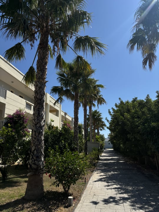 Außenansicht Hotel Tigaki Beach