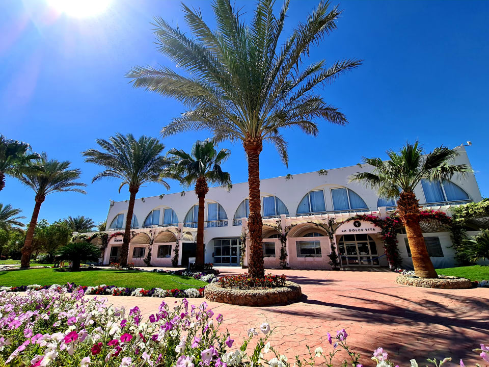 Außenansicht Desert Rose