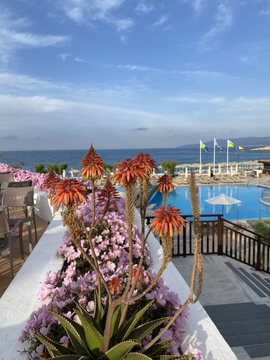 Ausblick Creta Maris Resort