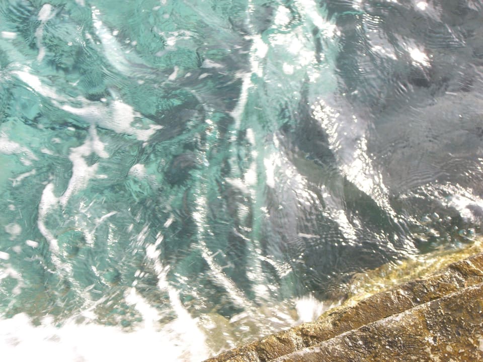 Hotel Summer Island Village Summer Island Maldives