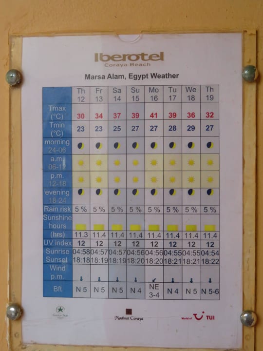 Wetterinfo Steigenberger Coraya Beach - Adults only