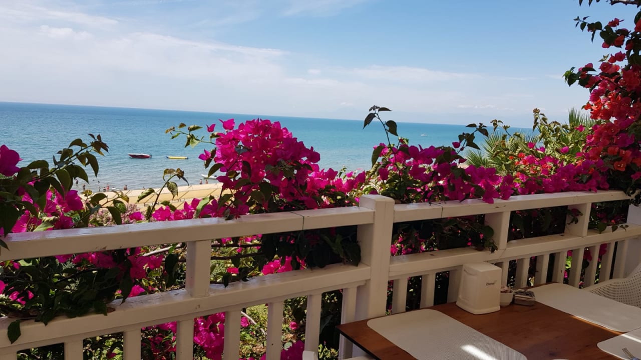 Ausblick Can Garden Resort